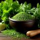 Best Aromatic Herbal Scents: Uses & Benefits | The Ultimate Herbal Remedies Guide: Natural Healing for a Healthier Life