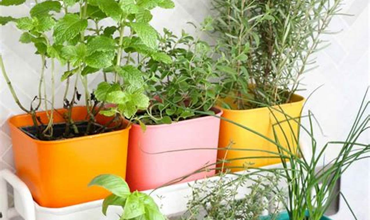 Easy Indoor Herbal Garden Ideas: Grow Fresh Herbs Now! | The Ultimate Herbal Remedies Guide: Natural Healing for a Healthier Life