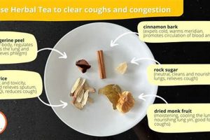 Best Herbal Tea for Phlegm Relief: Natural Remedies The Ultimate Herbal Remedies Guide: Natural Healing for a Healthier Life Best Herbal Tea for Phlegm Relief: Natural Remedies | The Ultimate Herbal Remedies Guide: Natural Healing for a Healthier Life