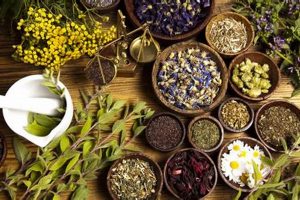 Natural Herbal Treatment Options for Relief | The Ultimate Herbal Remedies Guide: Natural Healing for a Healthier Life