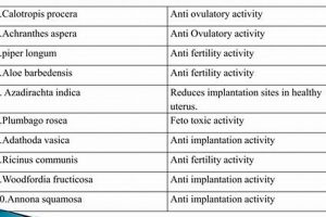 Natural Herbal Contraceptives Guide: Options & Safety The Ultimate Herbal Remedies Guide: Natural Healing for a Healthier Life Natural Herbal Contraceptives Guide: Options & Safety | The Ultimate Herbal Remedies Guide: Natural Healing for a Healthier Life