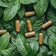 Discover: Herbal Leaf Benefits & Uses Today! | The Ultimate Herbal Remedies Guide: Natural Healing for a Healthier Life