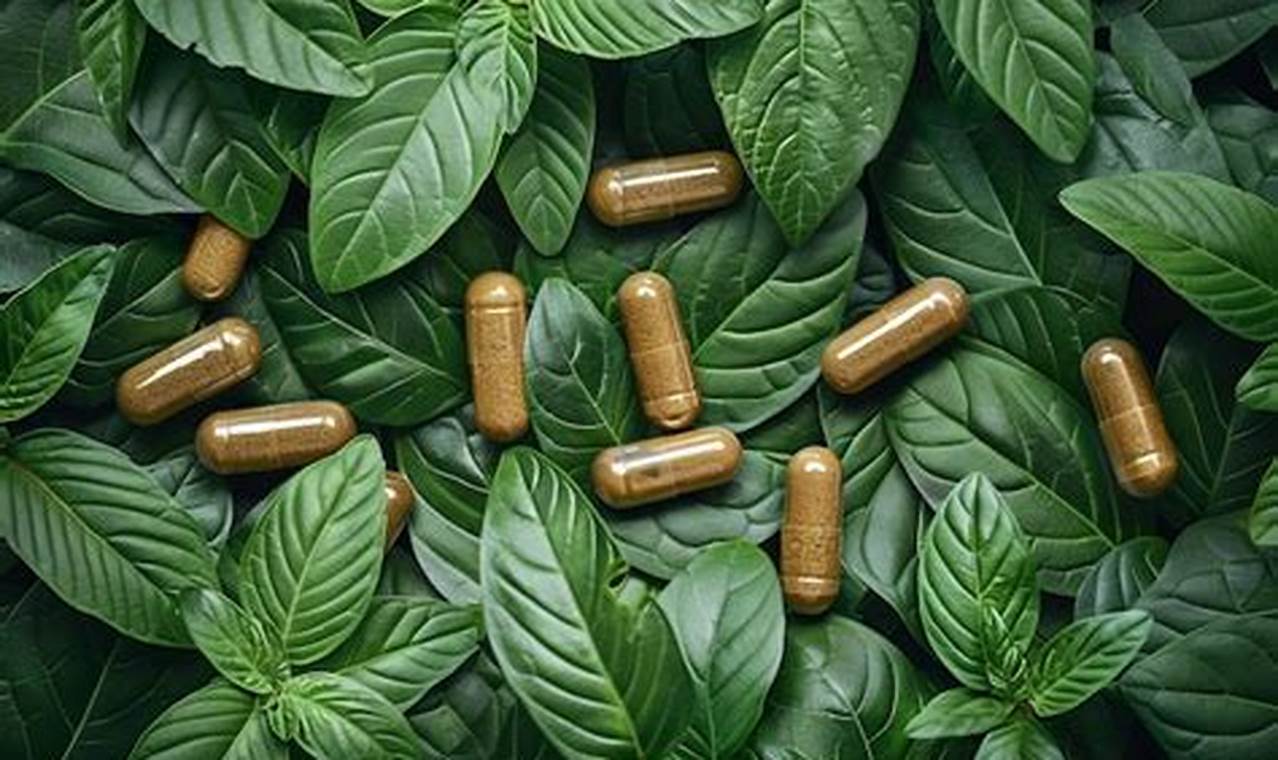 Discover: Herbal Leaf Benefits & Uses Today! | The Ultimate Herbal Remedies Guide: Natural Healing for a Healthier Life