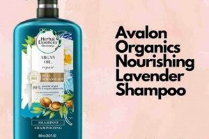 Discover The Best Herbal Shampoo: Your Natural Hair Secret | The Ultimate Herbal Remedies Guide: Natural Healing for a Healthier Life