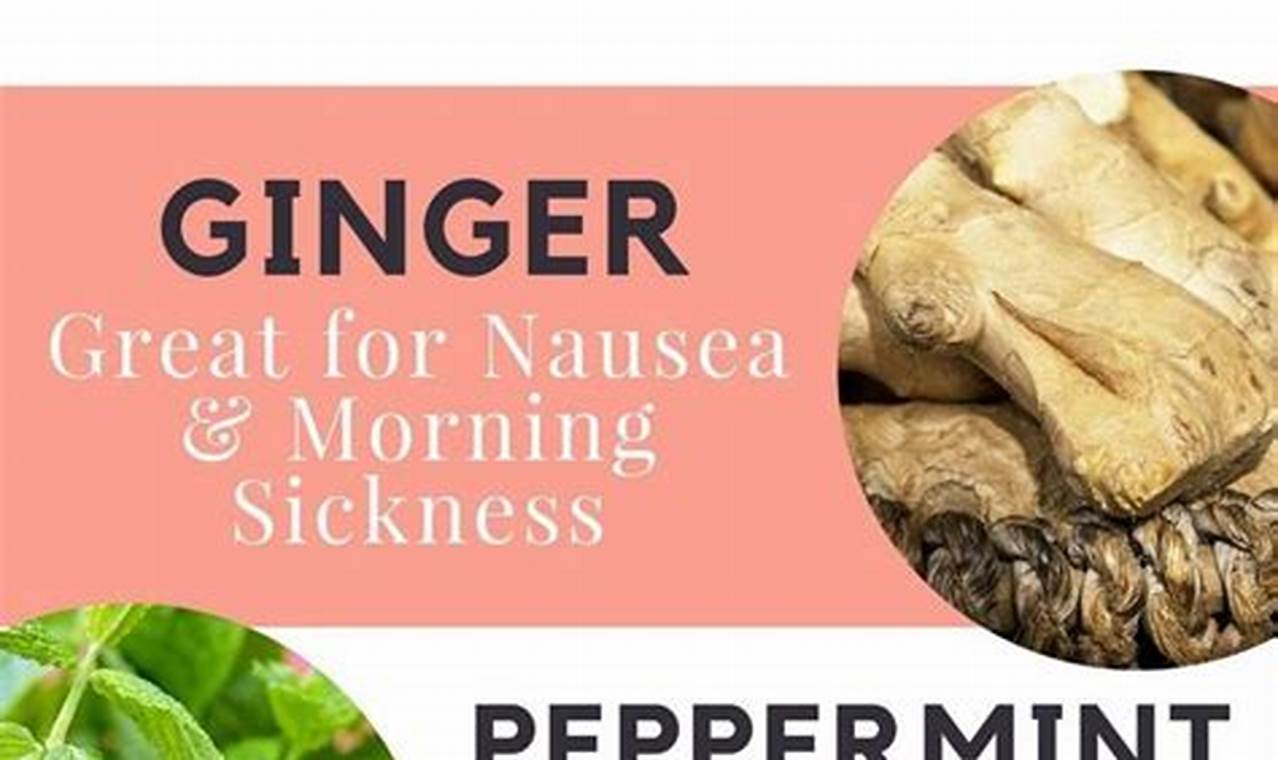 Pregnancy Tea: Safe Herbal Teas Guide & Tips | The Ultimate Herbal Remedies Guide: Natural Healing for a Healthier Life