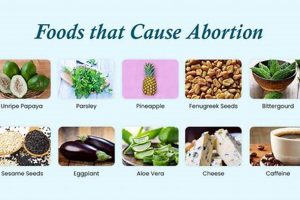 Guide to Natural Herbal Abortion: Risks &amp; Info | The Ultimate Herbal Remedies Guide: Natural Healing for a Healthier Life