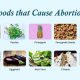 Guide to Natural Herbal Abortion: Risks &amp; Info | The Ultimate Herbal Remedies Guide: Natural Healing for a Healthier Life