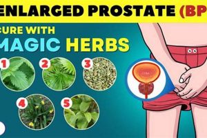 Natural Herbal Remedies for BPH: Benefits & Risks The Ultimate Herbal Remedies Guide: Natural Healing for a Healthier Life Natural Herbal Remedies for BPH: Benefits & Risks | The Ultimate Herbal Remedies Guide: Natural Healing for a Healthier Life