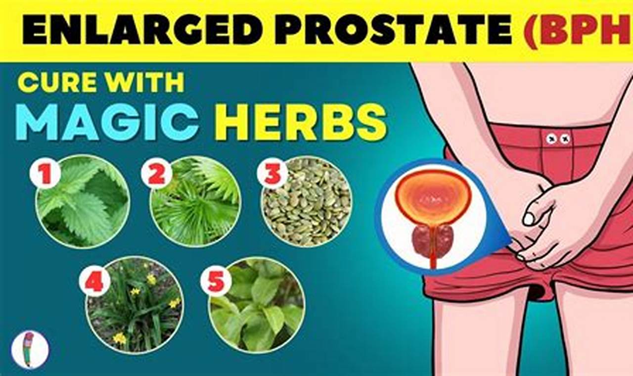 Natural Herbal Remedies for BPH: Benefits & Risks The Ultimate Herbal Remedies Guide: Natural Healing for a Healthier Life Natural Herbal Remedies for BPH: Benefits & Risks | The Ultimate Herbal Remedies Guide: Natural Healing for a Healthier Life