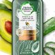 Best Herbal Essences Aloe Avocado Shampoo - Sulfate Free! | The Ultimate Herbal Remedies Guide: Natural Healing for a Healthier Life
