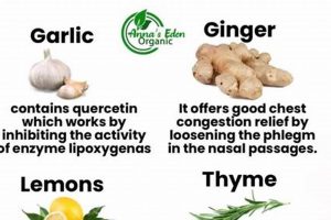 Best Herbal Remedies for Mucus: Natural Relief Tips | The Ultimate Herbal Remedies Guide: Natural Healing for a Healthier Life