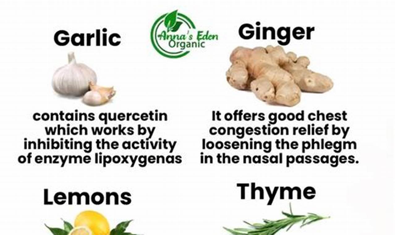 Best Herbal Remedies for Mucus: Natural Relief Tips | The Ultimate Herbal Remedies Guide: Natural Healing for a Healthier Life