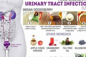 Natural UTI Herbal Treatment: Relief + Prevention | The Ultimate Herbal Remedies Guide: Natural Healing for a Healthier Life