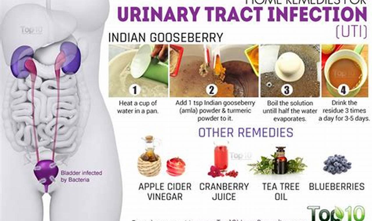 Natural UTI Herbal Treatment: Relief + Prevention | The Ultimate Herbal Remedies Guide: Natural Healing for a Healthier Life