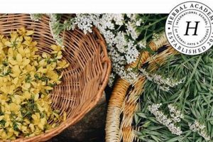 Best Herbalism Courses: Your Herbal Journey Starts Here! | The Ultimate Herbal Remedies Guide: Natural Healing for a Healthier Life