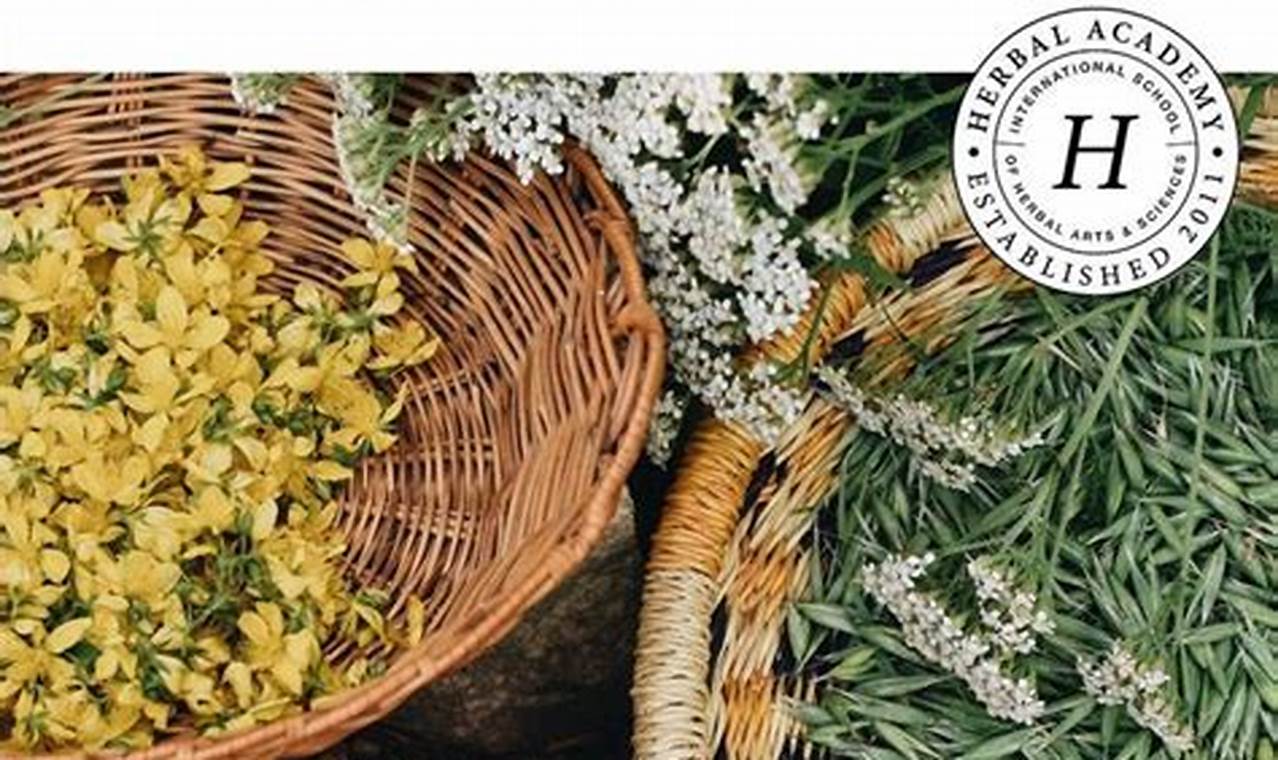 Best Herbalism Courses: Your Herbal Journey Starts Here! | The Ultimate Herbal Remedies Guide: Natural Healing for a Healthier Life