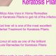 Natural Keratosis Pilaris Herbal Treatment: Relief & Smooth Skin | The Ultimate Herbal Remedies Guide: Natural Healing for a Healthier Life