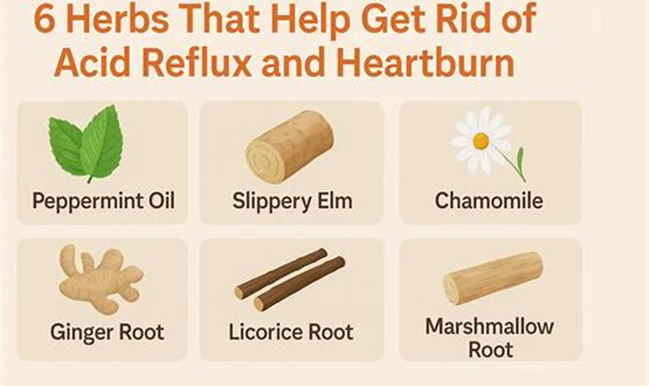 Can Herbal Tea Cause Acid Reflux? Triggers & Relief | The Ultimate Herbal Remedies Guide: Natural Healing for a Healthier Life