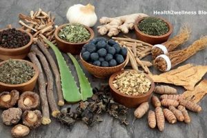 Best Uses of Herbal Remedies: A Natural Guide | The Ultimate Herbal Remedies Guide: Natural Healing for a Healthier Life