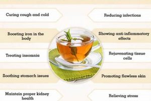 Herbals: What is Herbal Tea Definition? Benefits! The Ultimate Herbal Remedies Guide: Natural Healing for a Healthier Life Herbals: What is Herbal Tea Definition? Benefits! | The Ultimate Herbal Remedies Guide: Natural Healing for a Healthier Life