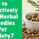 Natural Dog Herbal Remedies for Anxiety: Relief Now | The Ultimate Herbal Remedies Guide: Natural Healing for a Healthier Life