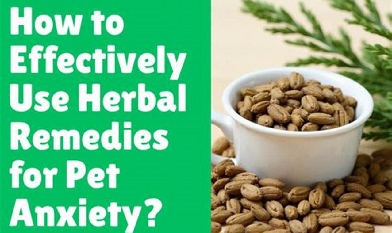 Natural Dog Herbal Remedies for Anxiety: Relief Now | The Ultimate Herbal Remedies Guide: Natural Healing for a Healthier Life