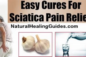 Natural Herbal Treatment for Sciatica Pain Relief Tips | The Ultimate Herbal Remedies Guide: Natural Healing for a Healthier Life