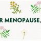 Natural Herbal Products for Menopause: Relief & Support | The Ultimate Herbal Remedies Guide: Natural Healing for a Healthier Life