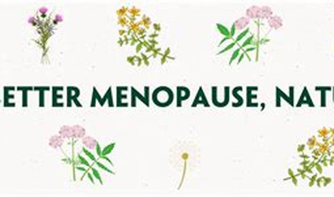 Natural Herbal Products for Menopause: Relief & Support The Ultimate Herbal Remedies Guide: Natural Healing for a Healthier Life Natural Herbal Products for Menopause: Relief & Support | The Ultimate Herbal Remedies Guide: Natural Healing for a Healthier Life