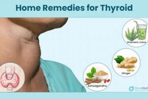 Natural Herbal Treatments for Thyroid Problems Relief The Ultimate Herbal Remedies Guide: Natural Healing for a Healthier Life Natural Herbal Treatments for Thyroid Problems Relief | The Ultimate Herbal Remedies Guide: Natural Healing for a Healthier Life