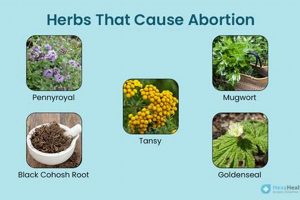 Natural Abortion Herbal Tea Guide: Risks &amp; Info | The Ultimate Herbal Remedies Guide: Natural Healing for a Healthier Life