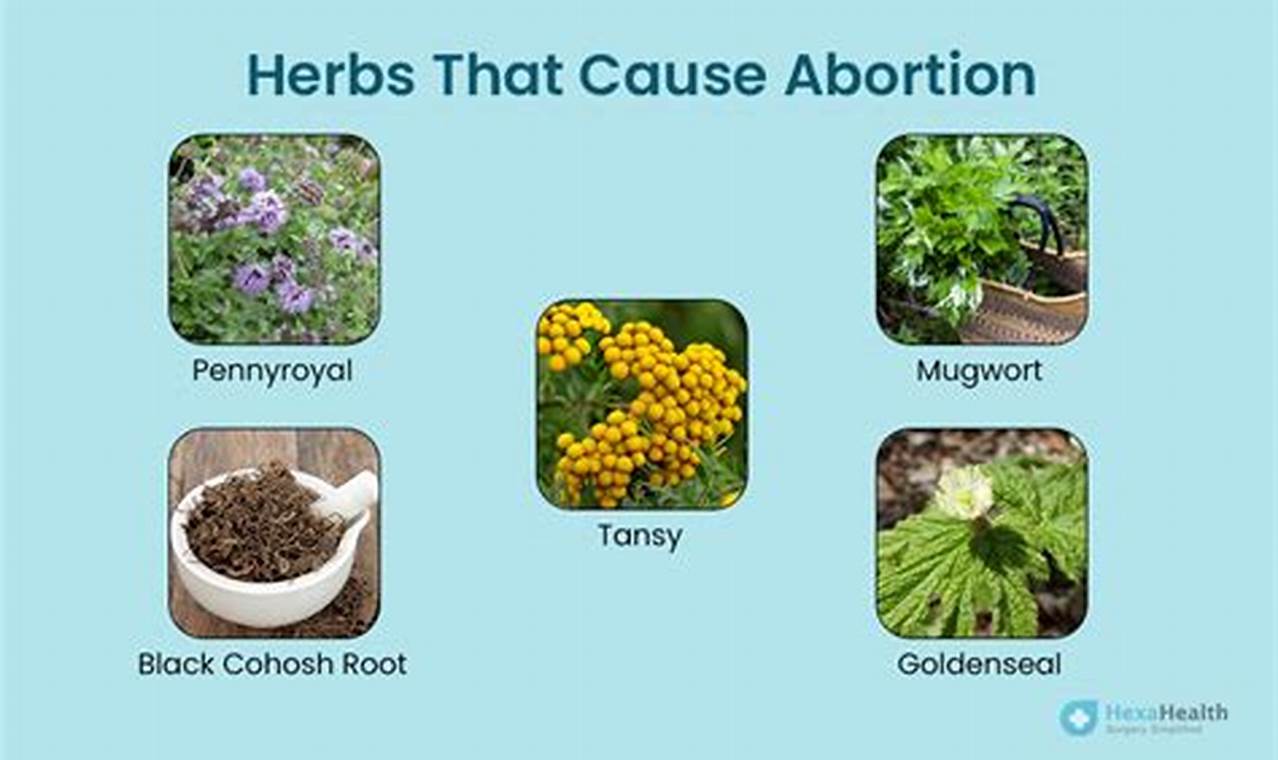 Natural Abortion Herbal Tea Guide: Risks &amp; Info | The Ultimate Herbal Remedies Guide: Natural Healing for a Healthier Life