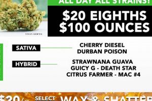 Denver's Herbal Cure: Your Botanical Wellness | The Ultimate Herbal Remedies Guide: Natural Healing for a Healthier Life