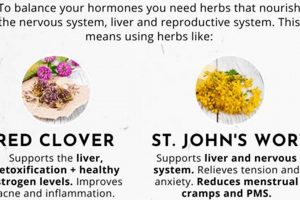 Natural Herbal Supplements to Balance Hormones: A Guide The Ultimate Herbal Remedies Guide: Natural Healing for a Healthier Life Natural Herbal Supplements to Balance Hormones: A Guide | The Ultimate Herbal Remedies Guide: Natural Healing for a Healthier Life