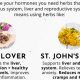 Natural Herbal Supplements to Balance Hormones: A Guide | The Ultimate Herbal Remedies Guide: Natural Healing for a Healthier Life