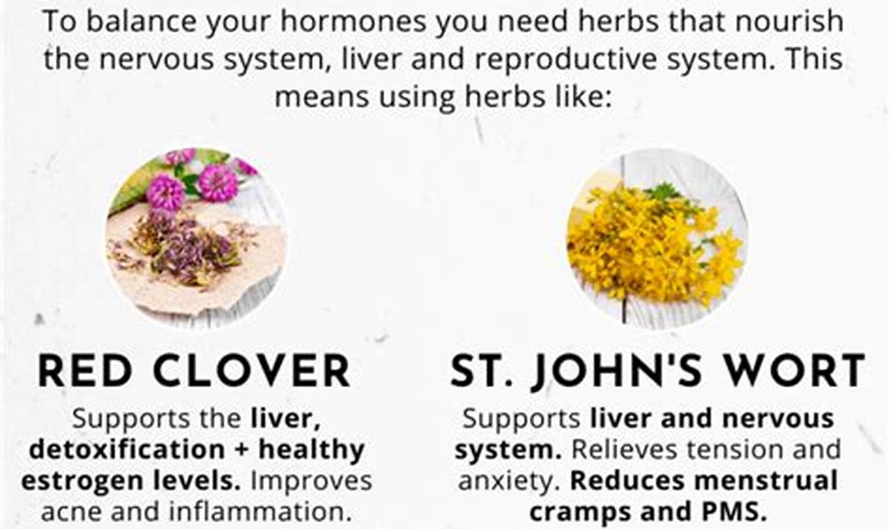 Natural Herbal Supplements to Balance Hormones: A Guide The Ultimate Herbal Remedies Guide: Natural Healing for a Healthier Life Natural Herbal Supplements to Balance Hormones: A Guide | The Ultimate Herbal Remedies Guide: Natural Healing for a Healthier Life