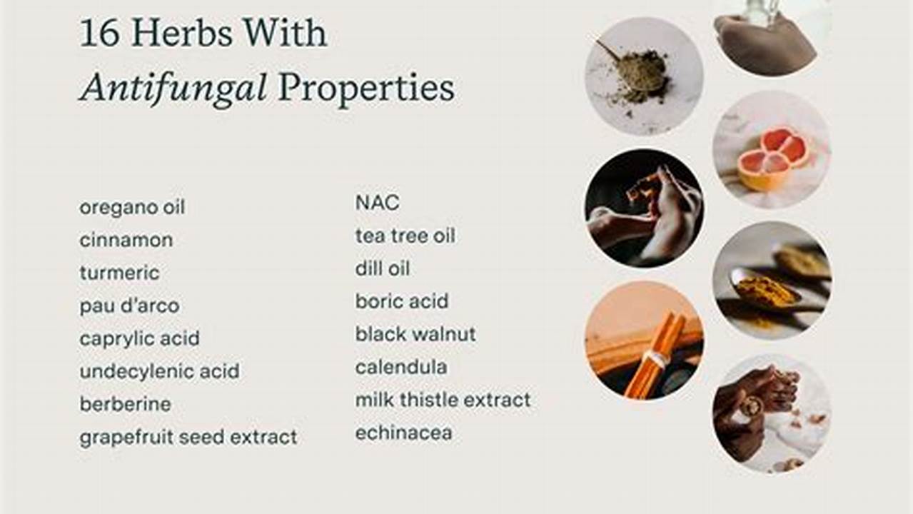 Natural Herbal Remedies for UTI Relief Today | The Ultimate Herbal Remedies Guide: Natural Healing for a Healthier Life