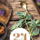 Learn Herbals: Free Herbalism Courses With Certificate Online | The Ultimate Herbal Remedies Guide: Natural Healing for a Healthier Life