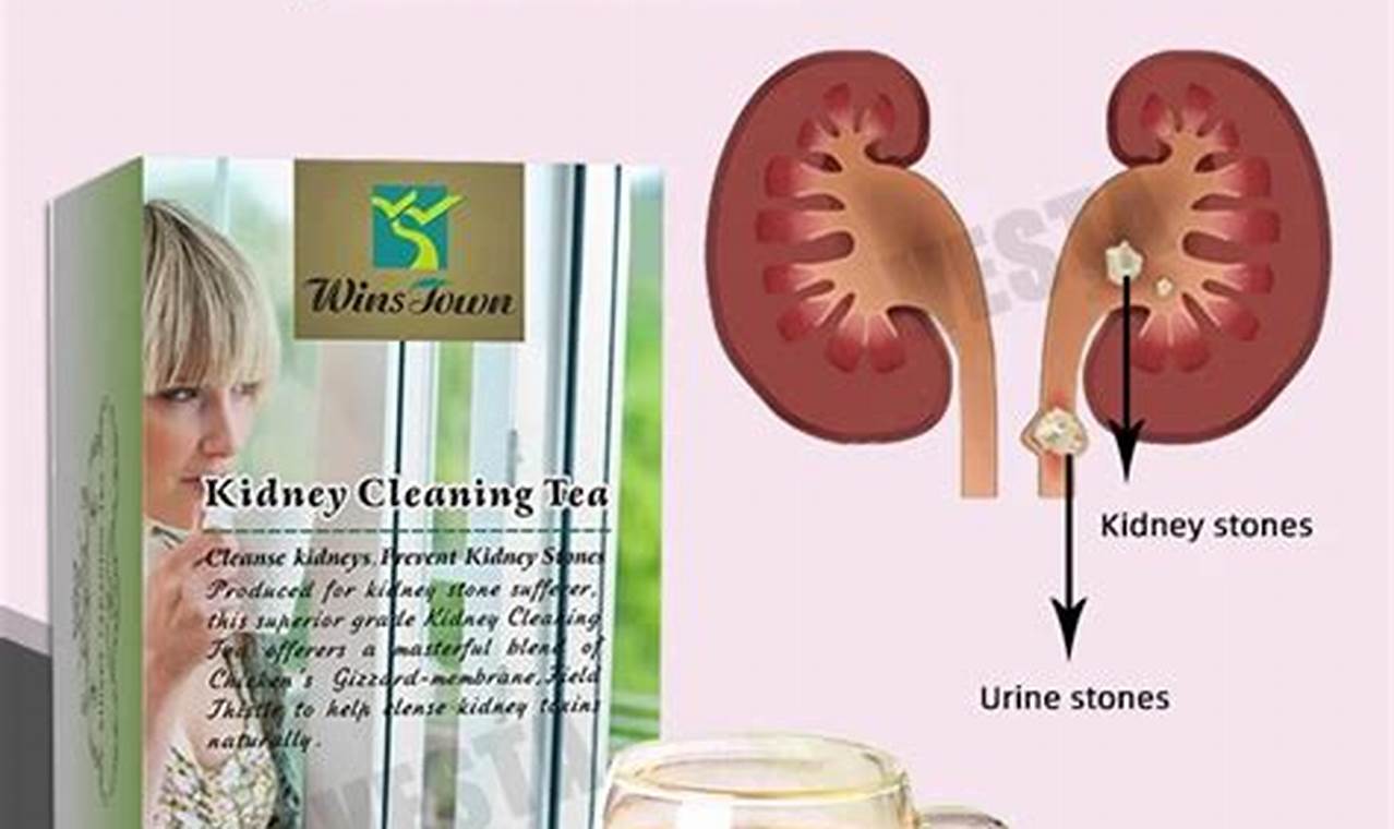 Natural Relief? Herbal Tea for Kidney Stones Guide The Ultimate Herbal Remedies Guide: Natural Healing for a Healthier Life Natural Relief? Herbal Tea for Kidney Stones Guide | The Ultimate Herbal Remedies Guide: Natural Healing for a Healthier Life