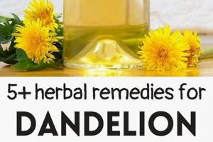 Natural Dandelion Herbal Remedies: Uses & Benefits The Ultimate Herbal Remedies Guide: Natural Healing for a Healthier Life Natural Dandelion Herbal Remedies: Uses & Benefits | The Ultimate Herbal Remedies Guide: Natural Healing for a Healthier Life