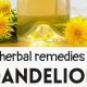 Natural Dandelion Herbal Remedies: Uses & Benefits | The Ultimate Herbal Remedies Guide: Natural Healing for a Healthier Life