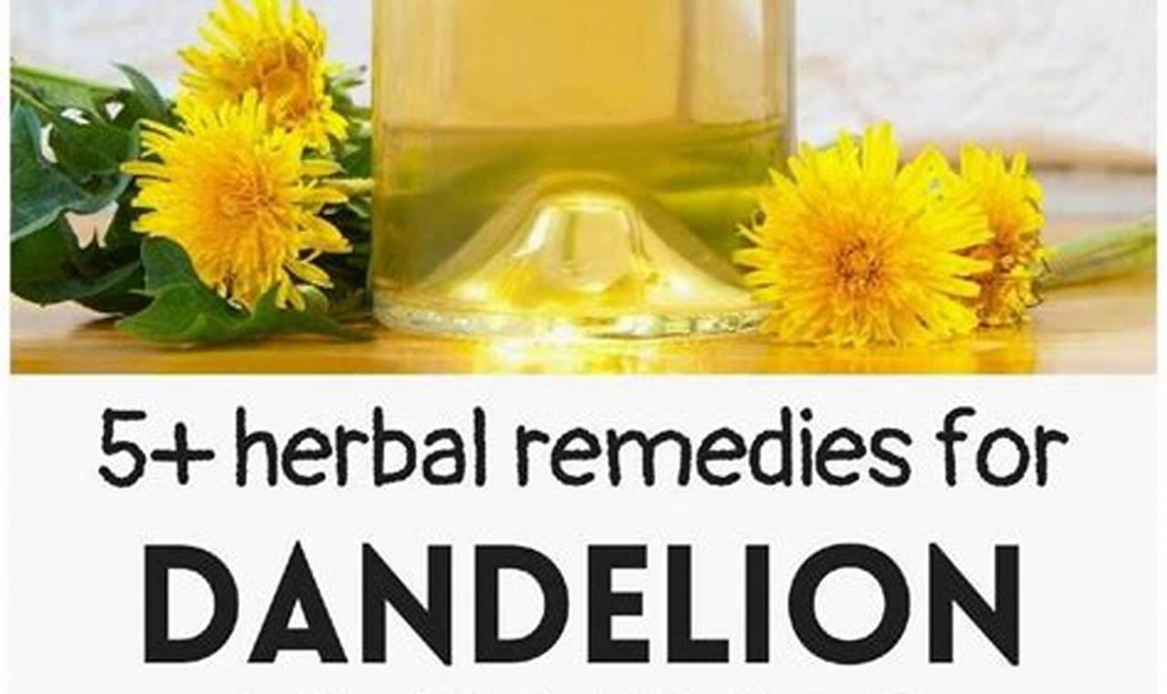 Natural Dandelion Herbal Remedies: Uses & Benefits The Ultimate Herbal Remedies Guide: Natural Healing for a Healthier Life Natural Dandelion Herbal Remedies: Uses & Benefits | The Ultimate Herbal Remedies Guide: Natural Healing for a Healthier Life