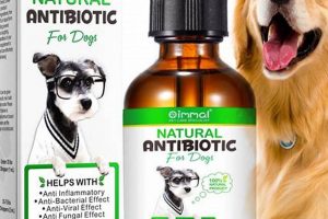 Natural Herbal Allergy Relief for Dogs Guide & Tips The Ultimate Herbal Remedies Guide: Natural Healing for a Healthier Life Natural Herbal Allergy Relief for Dogs Guide & Tips | The Ultimate Herbal Remedies Guide: Natural Healing for a Healthier Life