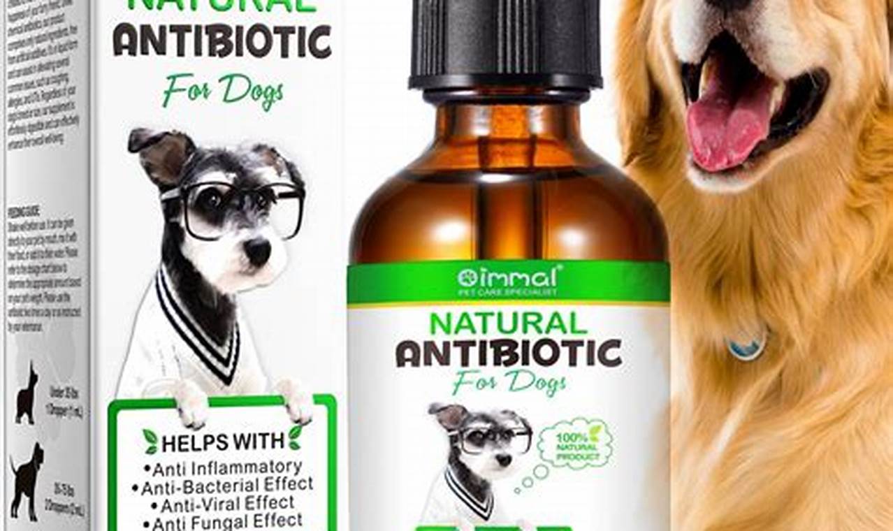 Natural Herbal Allergy Relief for Dogs Guide & Tips The Ultimate Herbal Remedies Guide: Natural Healing for a Healthier Life Natural Herbal Allergy Relief for Dogs Guide & Tips | The Ultimate Herbal Remedies Guide: Natural Healing for a Healthier Life