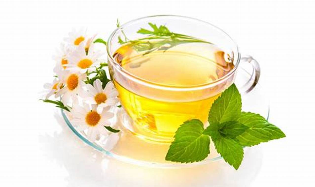 What is Herbal Tea?: Definition, Benefits & Beyond | The Ultimate Herbal Remedies Guide: Natural Healing for a Healthier Life