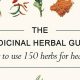 The Ultimate Herbal Guide: Remedies & Benefits | The Ultimate Herbal Remedies Guide: Natural Healing for a Healthier Life