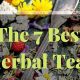 Best Herbal Tea for Better Sleep Tonight? | The Ultimate Herbal Remedies Guide: Natural Healing for a Healthier Life