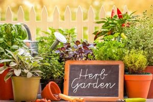 Explore The Herbal Gardens: Benefits & Uses Guide | The Ultimate Herbal Remedies Guide: Natural Healing for a Healthier Life