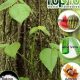 Fast Relief: Herbal Remedy for Poison Ivy - Naturally! | The Ultimate Herbal Remedies Guide: Natural Healing for a Healthier Life