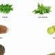 Natural Herbal Remedy for Gastritis Relief Today | The Ultimate Herbal Remedies Guide: Natural Healing for a Healthier Life